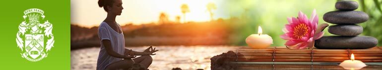 Bircham International University